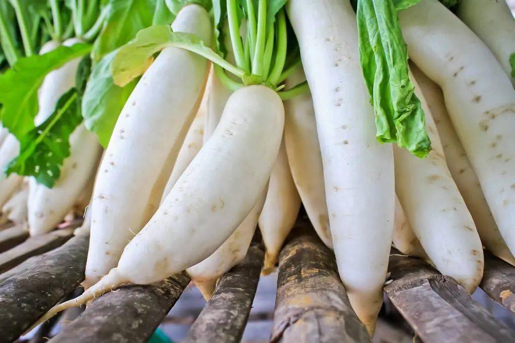 蔬菜配送公司承包食堂的優(yōu)勢(shì)。